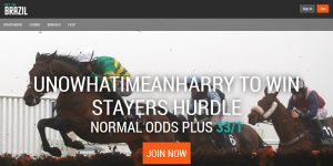 Cheltenham Stayers Hurdle: Get a boosted 33/1 on Favourite Unowhatimeanharry