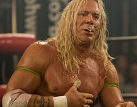 the-wrestler