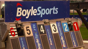 boylesports irish greyhound derby