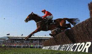 betvictor gold cup