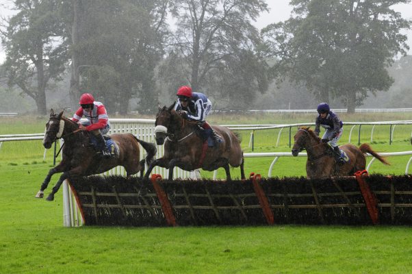 horse betting