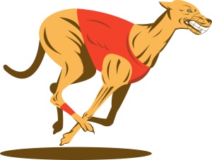 Place a bet on Greyhound Betting Sites
